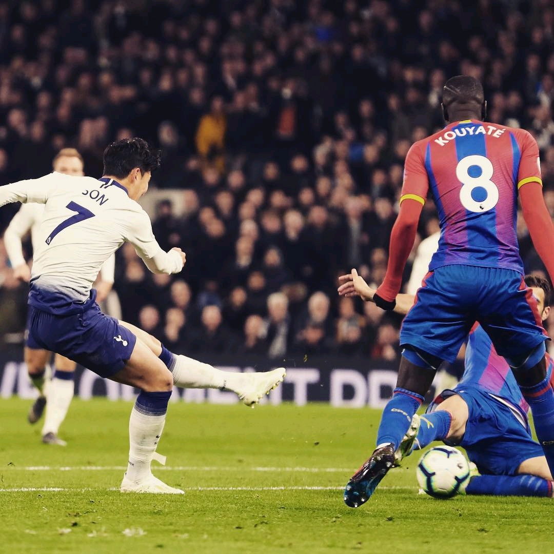 更是其专业 更是其专业